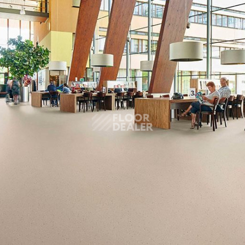 Forbo SureStep Star 176312 mortar фото 2 | FLOORDEALER